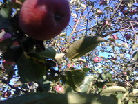 IMG_20151003_153559.jpg