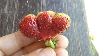 20170809_121128.jpg