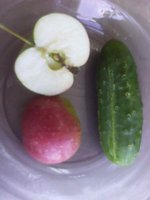 IMG_20170809_122612-min.jpg