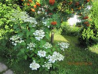 IMG_2781.JPG
