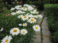 IMG_2784.JPG