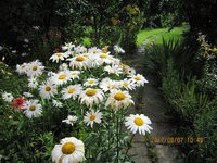IMG_2875.JPG