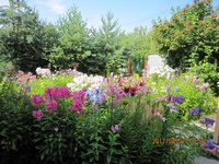 IMG_2879.JPG