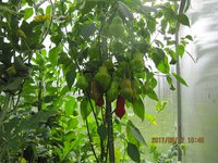 IMG_2850.JPG