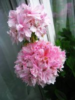 IMG_3837.JPG
