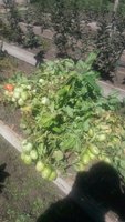 20170810_122612.jpg