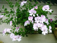 IMG_3842.JPG