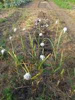 DSCN3056.JPG