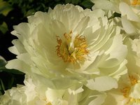 IMG_20130621_145122.jpg