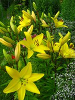 IMG_3910-1.jpg