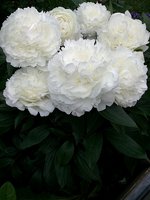 IMG_20130621_023349.jpg