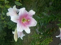 20170813_185125.jpg