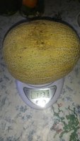 20170813_172832.jpg