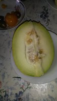 20170813_173302.jpg