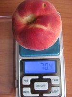 IMG_0015.JPG