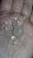 20170814_202029.jpg