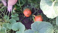 20170814_184146.jpg