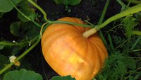 20170814_184219.jpg