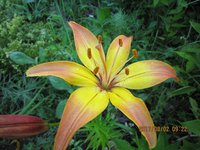IMG_2773.JPG