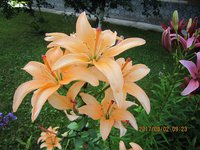 IMG_2780.JPG
