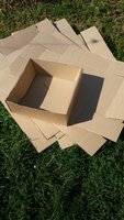 20170815_091258.jpg