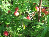 IMG_0019.JPG