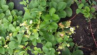 20170813_112645.jpg