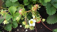 20170813_112651.jpg
