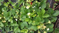 20170813_112658.jpg