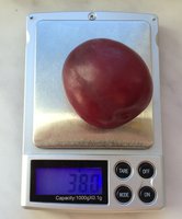 IMG_6881.JPG