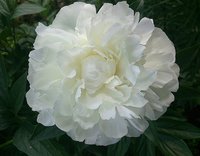IMG_20130624_151334.jpg