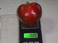 111.jpg