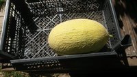 20170818_113914.jpg