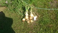 20170818_102257.jpg
