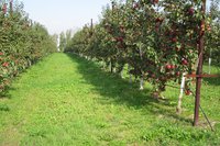 IMG_2981.JPG