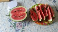 20170819_181842.jpg