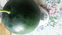 20170819_181702.jpg