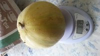 20170819_135732.jpg