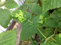 IMG_7422.JPG