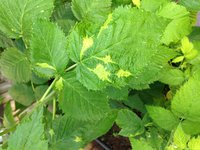 IMG_7423.JPG