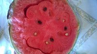WP_20170818_003.jpg