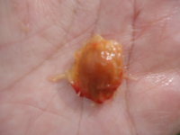 DSC05750.JPG