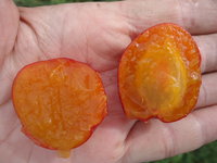 DSC05748.JPG