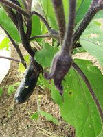 20170819_151643.jpg
