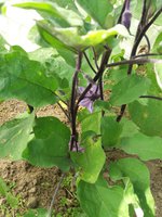 20170819_151647.jpg