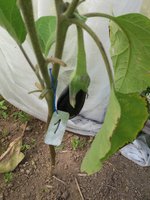 20170819_151700.jpg