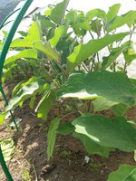 20170819_151710.jpg