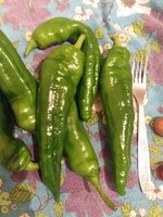 20170815_232213.jpg
