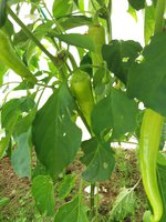 20170819_151520.jpg