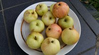 20170821_070443.jpg